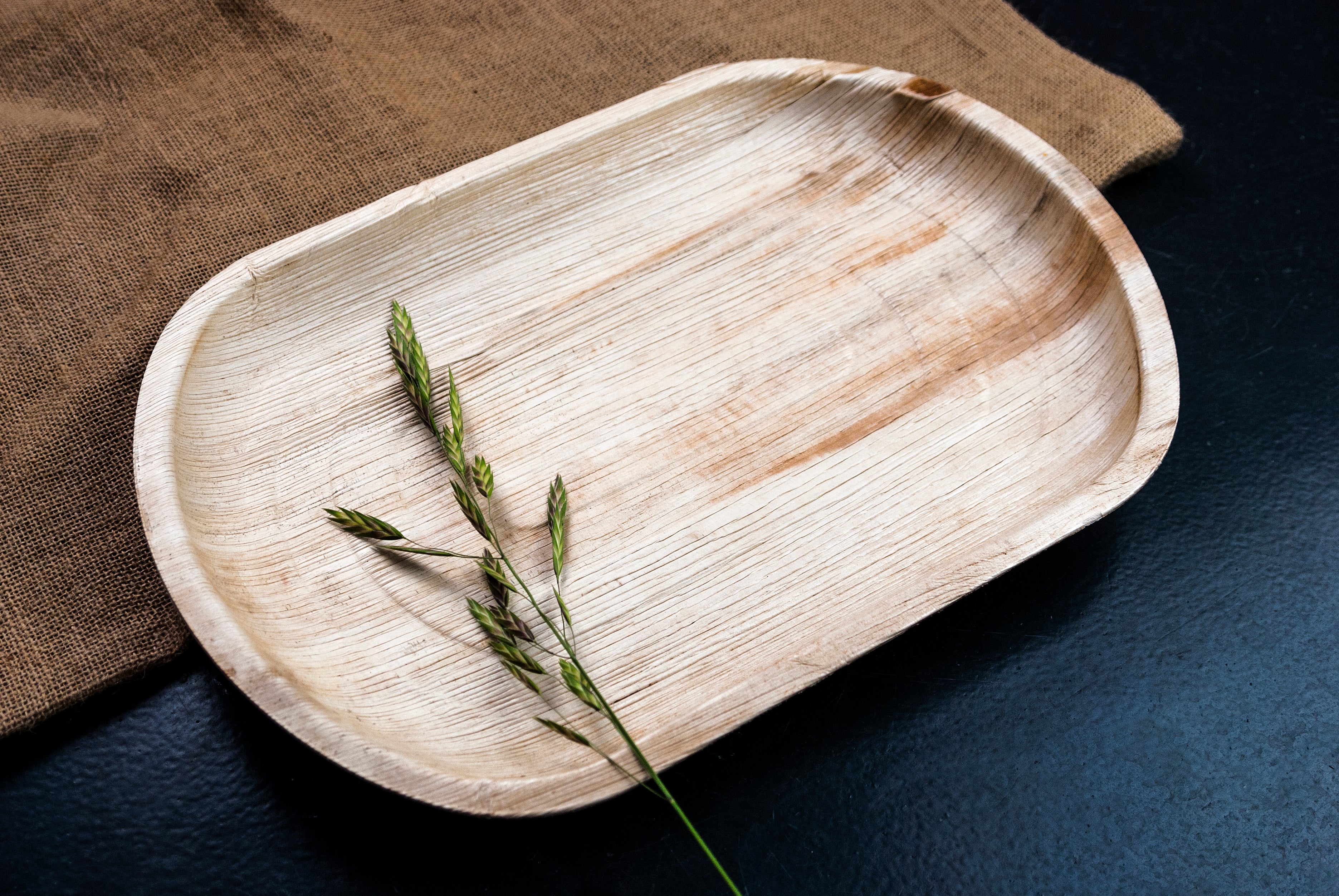 ESL Areca Nut Leaf Serving Tray, Compostable Palm Leaf Plate