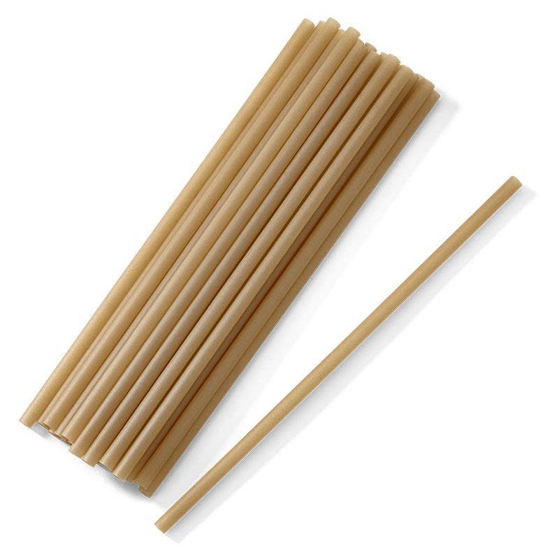 EcoSouLife 50 PC Straws Set Natural Loose Sugarcane Material