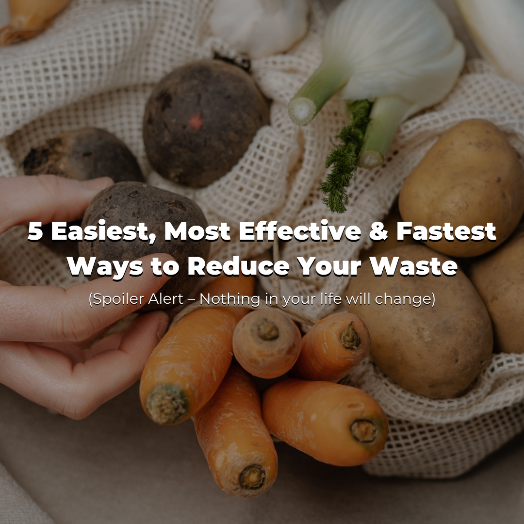 5 Easiest, Most Effective & Fastest Ways to Reduce Your Waste - EcoSouLife