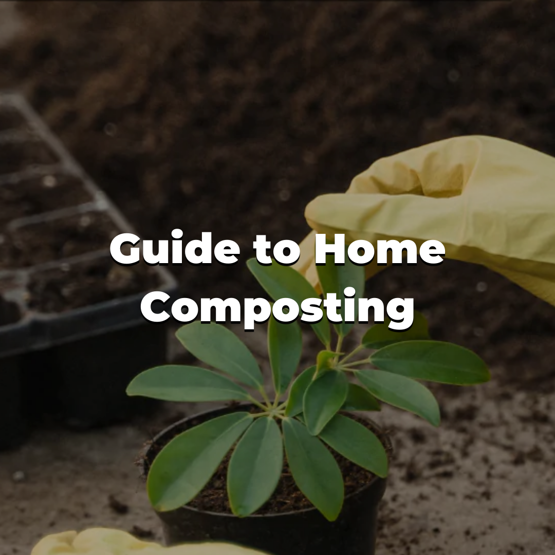 Guide to Home Composting - How to compost at home?
