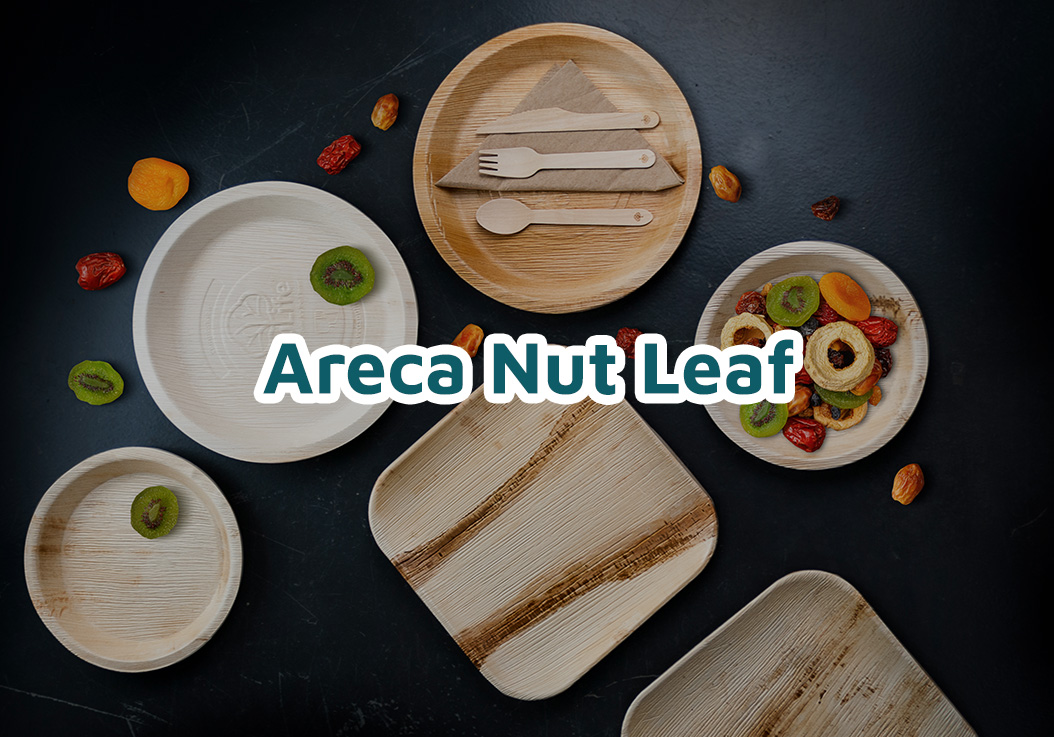 Areca Nut Leaf Range - EcoSouLife