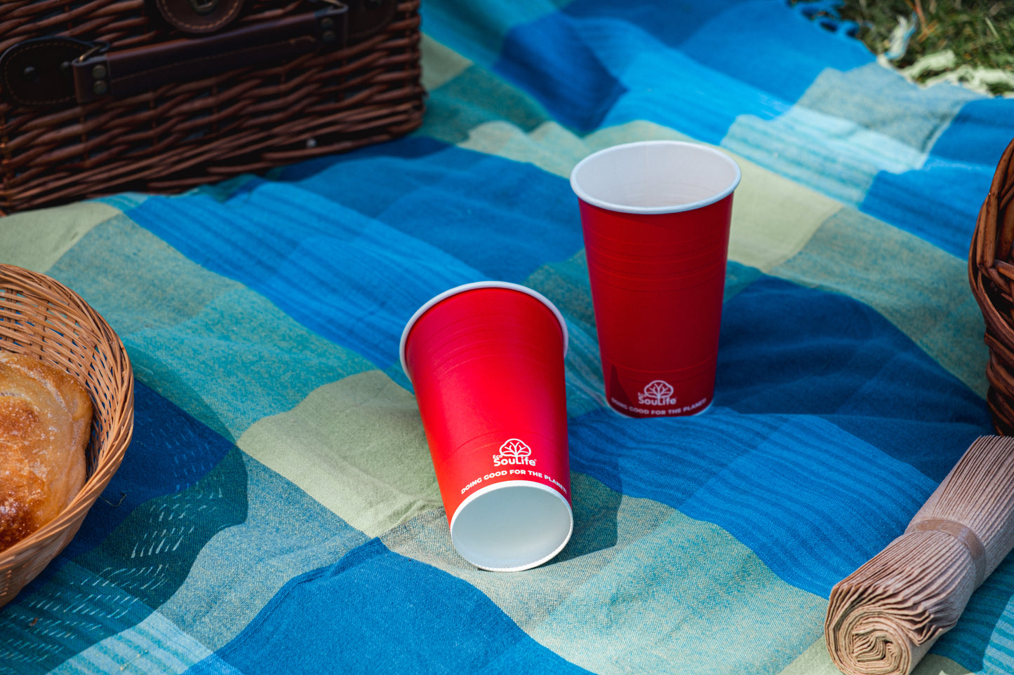 Eco College Party Cups