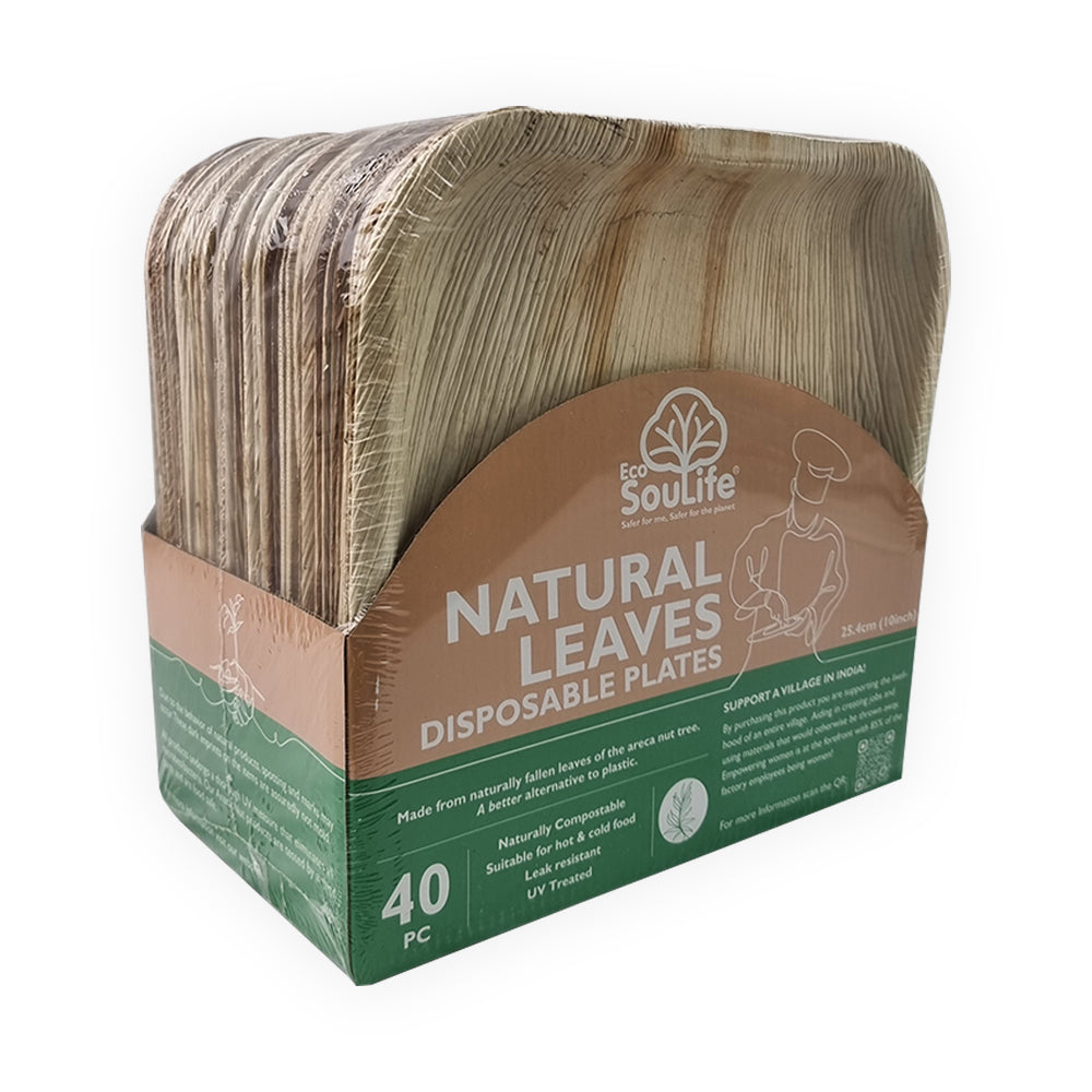 Areca Nut Leaf Large Square Plate 40PC