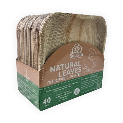 Areca Nut Leaf Large Square Plate 40PC