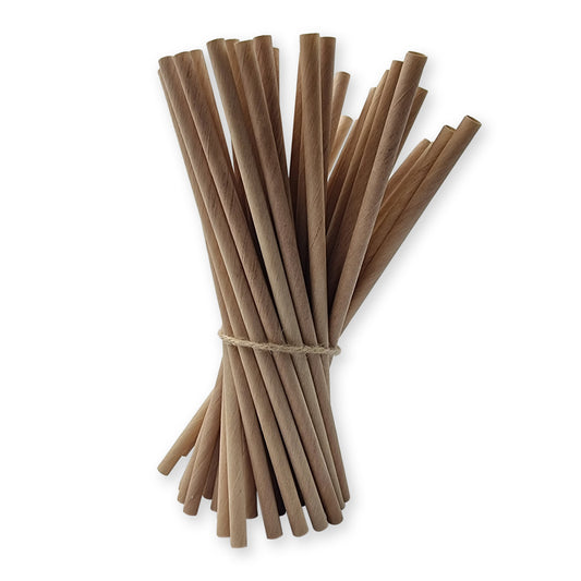 Back to Nature Wooden Straws - 500 Piece Bundle