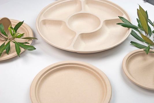 Harvest 5-Compartment Tray - 24PCs Bundle