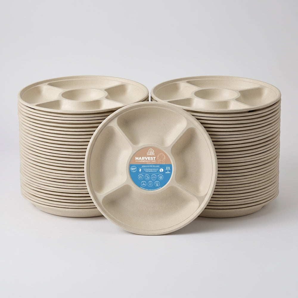 Harvest 5-Compartment Tray - 24PCs Bundle