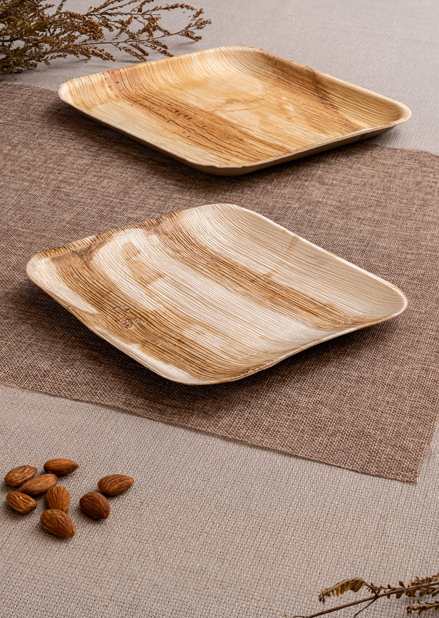 Areca Nut Leaf Medium Square Plates (20cm / 8") - Bulk Bundle