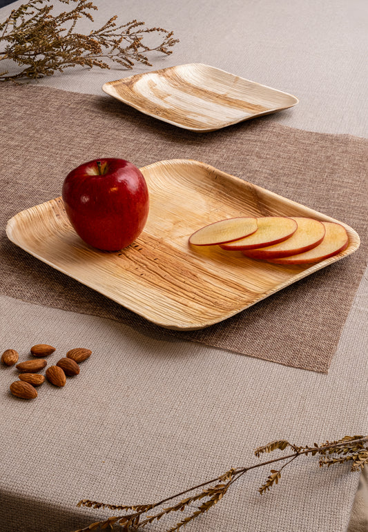 Areca Nut Leaf Large Square Plates (25cm / 10") - Bulk Bundle