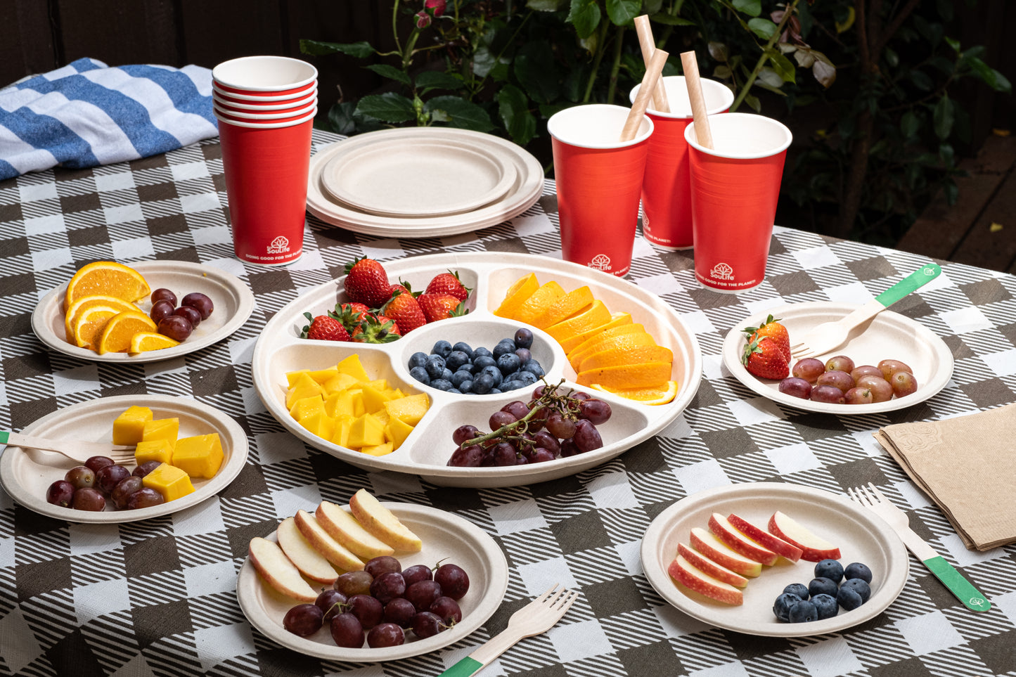 Harvest Compartment Tray & Lids