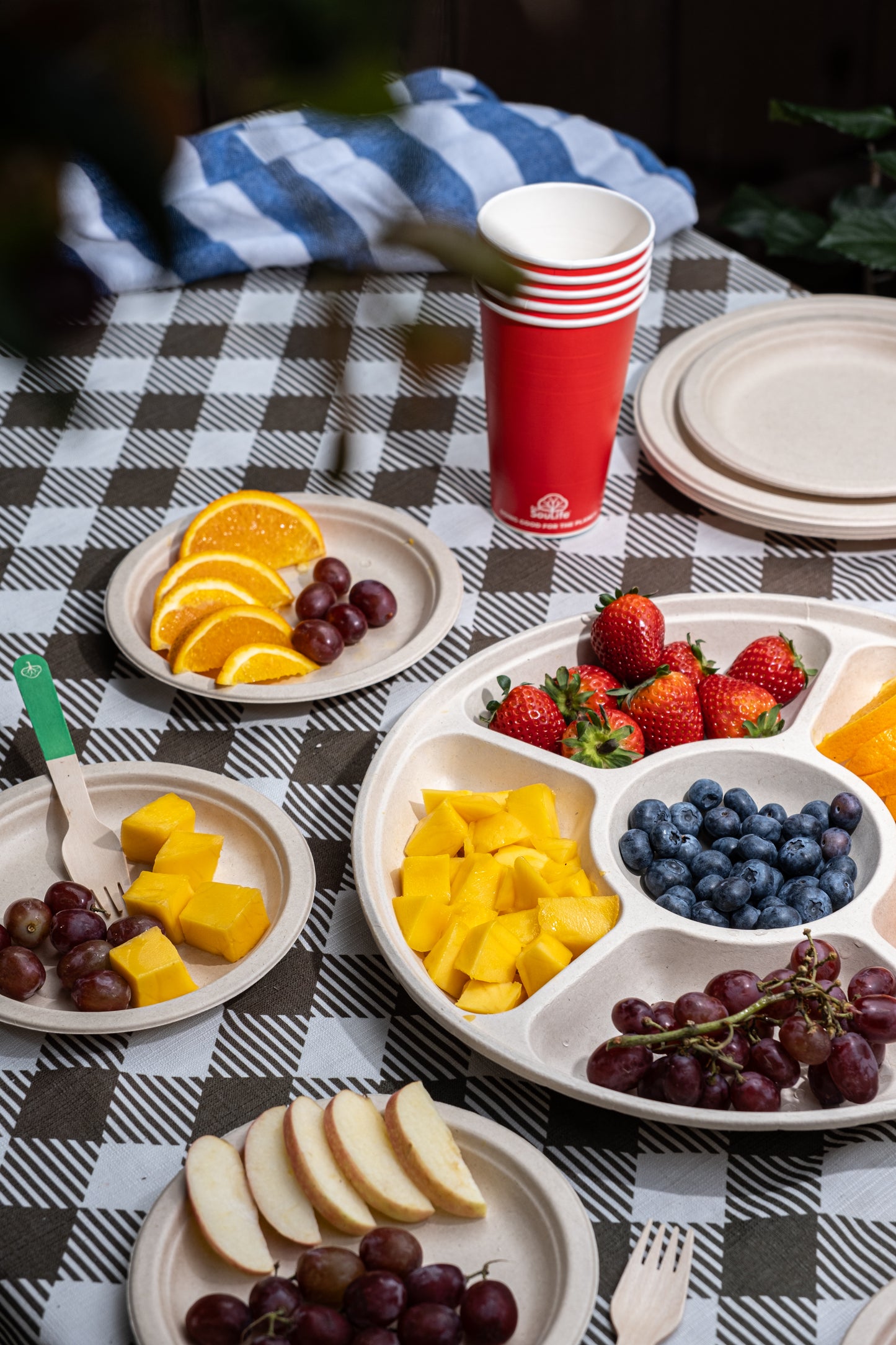 Harvest Compartment Tray & Lids